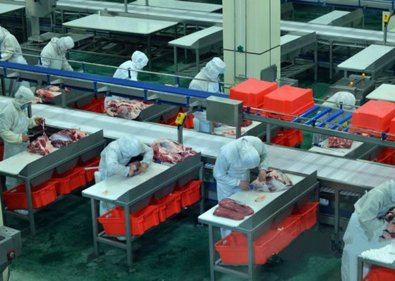 China Der Rindfleisch-beschleunigt aufgeteiltes Fleisch-Fertigungsstraße-/Produktlinie-100-300 Vieh pro Stunde fournisseur