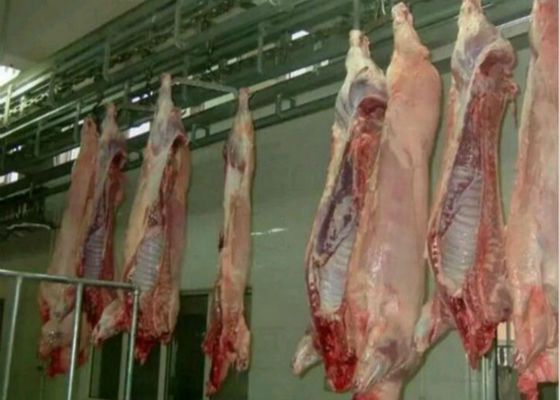 China Schweinefleisch-aufgeteiltes Geflügelfleisch-Fertigungsstraße-Schlachthaus-Ausrüstung PLC-Kontrollsystem  fournisseur