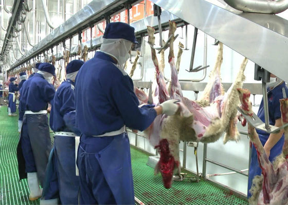 China Ziegen-Hammelfleisch-aufgeteiltes Fleisch-Fertigungsstraße-Gemetzel, das ganze Verarbeitungsart übermittelt fournisseur