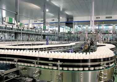 China STREICHELN Sie das Flaschen-Getränk, das Maschine herstellt, Walnuss-Erdnuss zu melken/Mais-Saft produzierend fournisseur