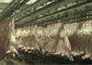 Ziegen-Hammelfleisch-aufgeteiltes Fleisch-Fertigungsstraße-Gemetzel, das ganze Verarbeitungsart übermittelt fournisseur