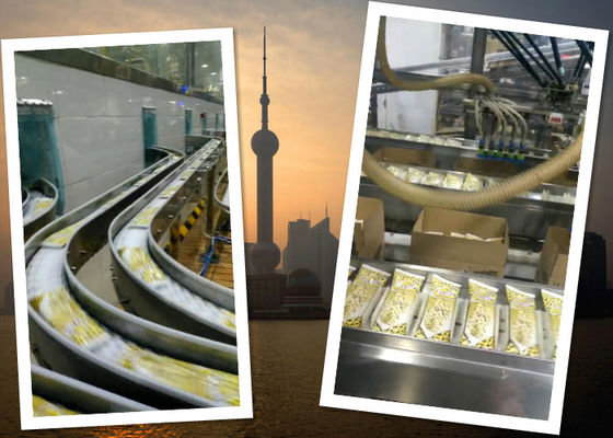 China Automatisches Eisherstellungs-Fließband Verpackungs-Förderer-Systeme fournisseur