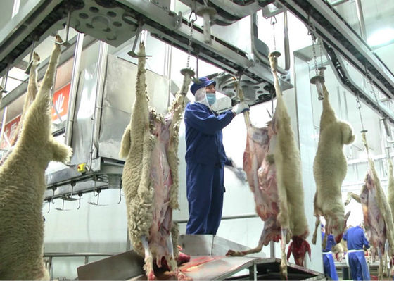 China Lamm-aufgeteilte Fleisch-Fertigungsstraße, industrielle Fertigungsstraße-Weiterverarbeitung fournisseur
