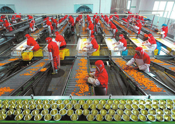 China Plastikschalen-Konserven-Fertigungsstraße-, Obst- und GemüseVerarbeitungs-Ausrüstung fournisseur