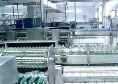 China Glas füllte Getränkeverarbeitungs-Ausrüstungs-Walnuss-/Erdnuss-Milch-Fertigungsstraße ab fournisseur
