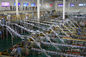 Automatisiertes Formstein verpacktes Milchgewinnungs-Fließband für reines/stellte Milch wieder her fournisseur