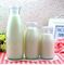 Glasflaschen-Milchgewinnungs-Fließband, Milchproduktions-Betriebsausrüstungs-lange Nutzungsdauer fournisseur