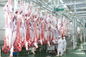 Der Rindfleisch-beschleunigt aufgeteiltes Fleisch-Fertigungsstraße-/Produktlinie-100-300 Vieh pro Stunde fournisseur